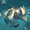 pirates1.jpg